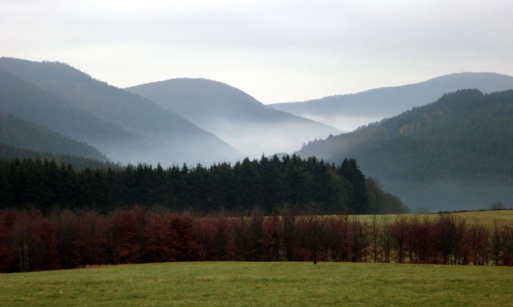 Landhaus Zur Linde Apartamento Winterberg Quarto foto